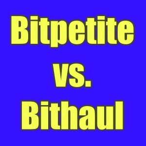 Bitpetite v Bithaul